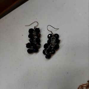 Grape 🍇 Vine earrings